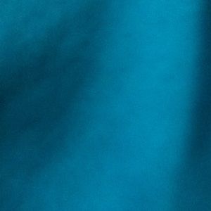 Meet your Posher, Alan